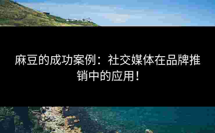 麻豆的成功案例:社交媒体在品牌推销中的应用!