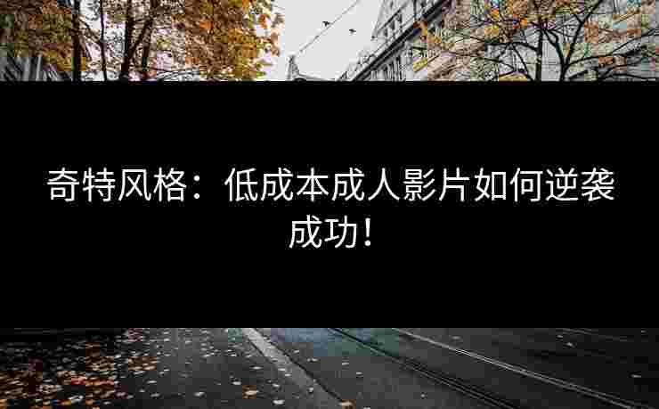 奇特风格：低成本成人影片如何逆袭成功！