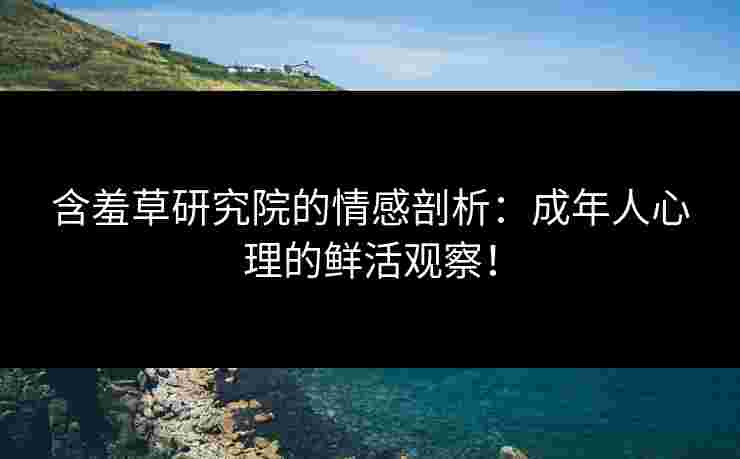含羞草研究院的情感剖析：成年人心理的鲜活观察！