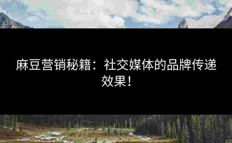 麻豆营销秘籍：社交媒体的品牌传递效果！